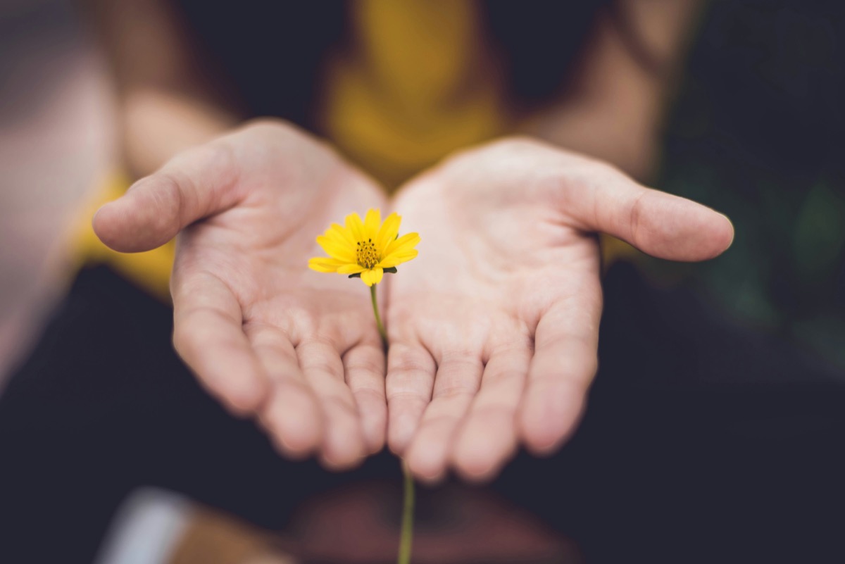 Willamette Valley Behavioral Health